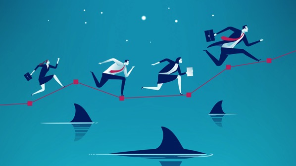 procedimiento organizacion